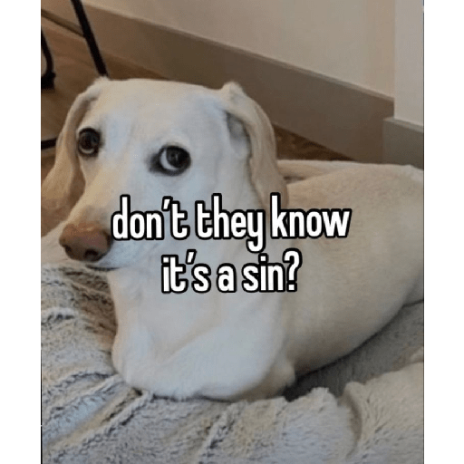 Fruitydog 10