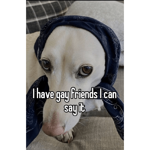 Fruitydog 14
