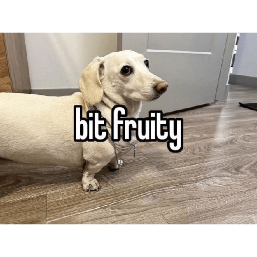 Fruitydog 5