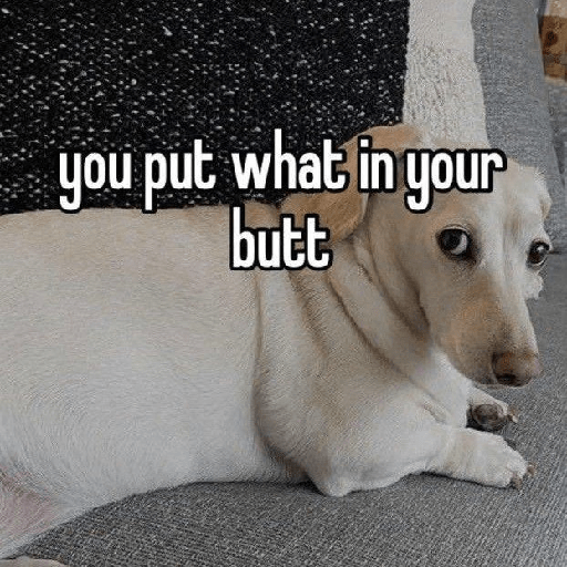 Fruitydog 12