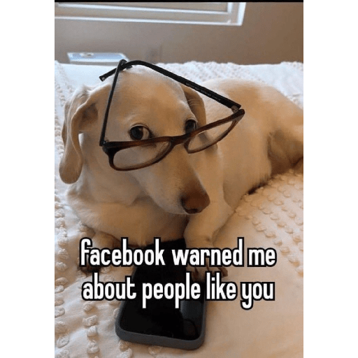 Fruitydog 11