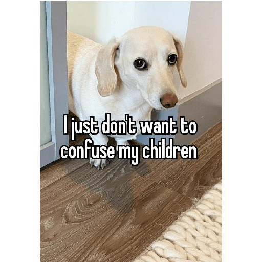 Fruitydog 19