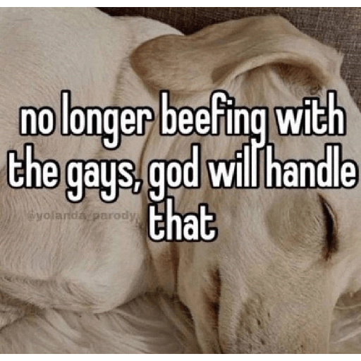 Fruitydog 15