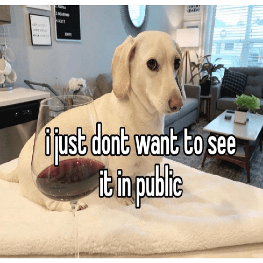 Fruitydog 1