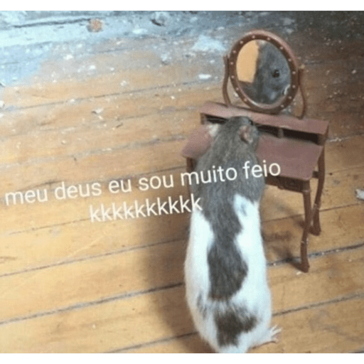 Ai a poc falou assim 4