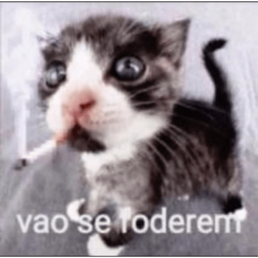 Ai a poc falou assim 28