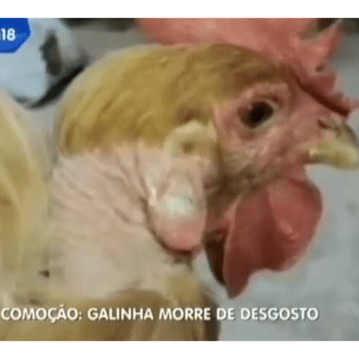Apenas nao reaja. 3