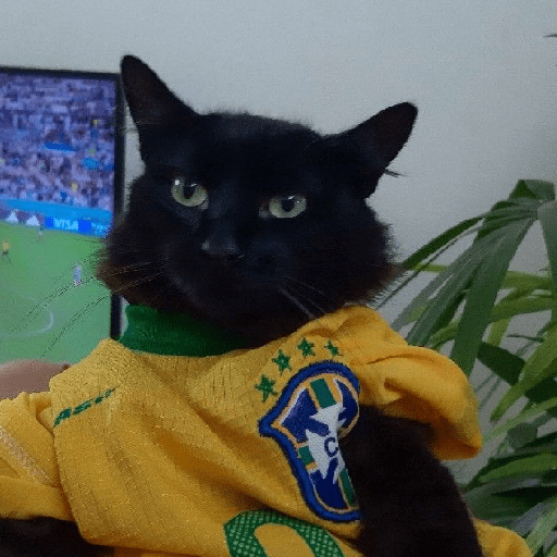 Shitpost Brasil pt4 🇧🇷 9