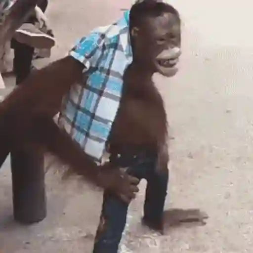 Macaquinhos reagindo 13