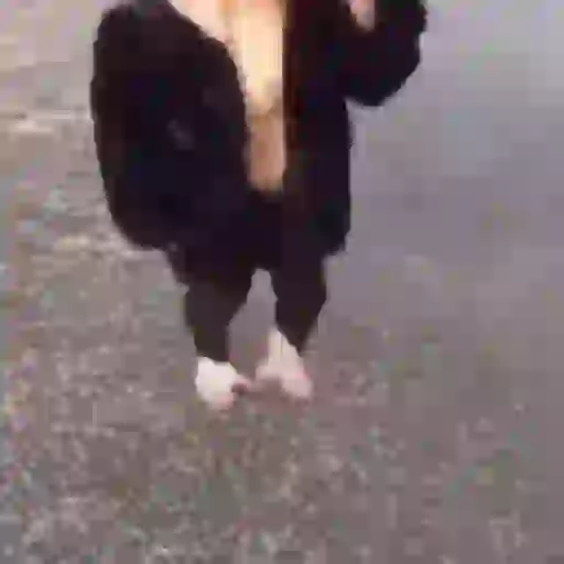 Macaquinhos reagindo 8