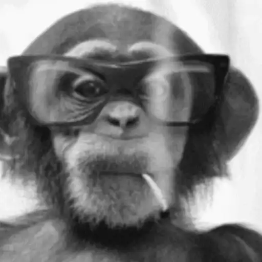 Macaquinhos reagindo 11