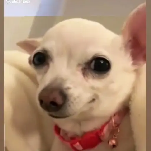 Nuevo gif 27