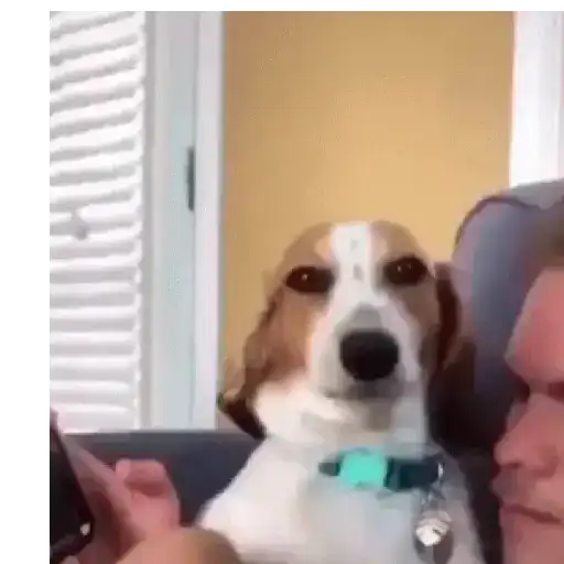 Nuevo gif 26