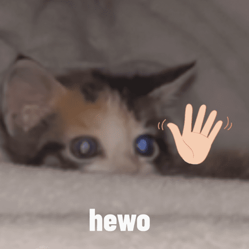 Mochi 4