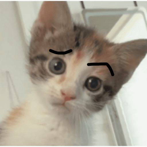Mochi 2