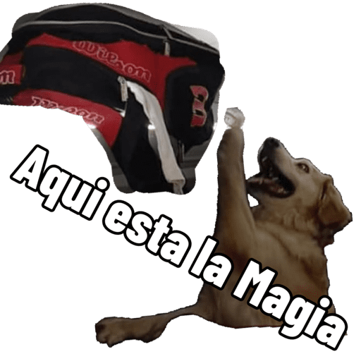 Mis pegatinas 10