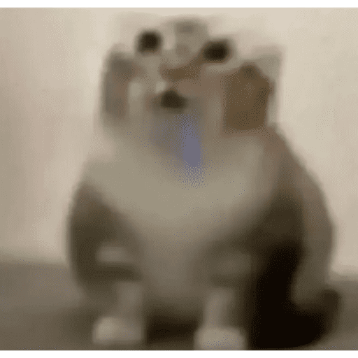 Japa das figuras 16