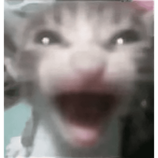 Japa das figuras 15