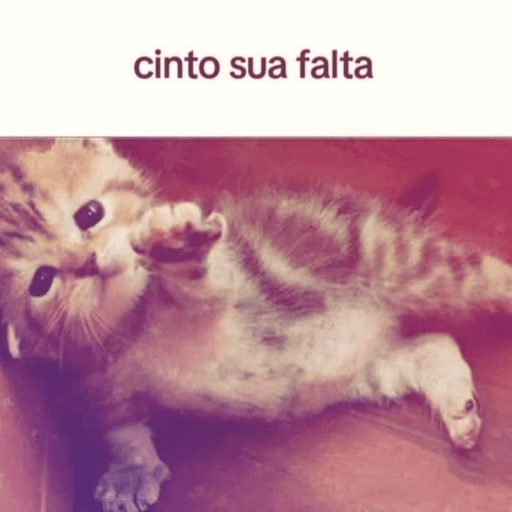 Japa das figuras 22