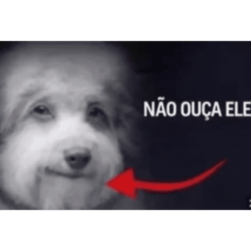 Japa das figuras 17