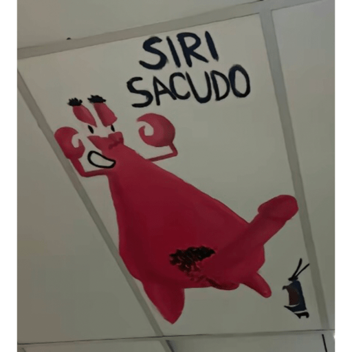 Japa das figuras 4
