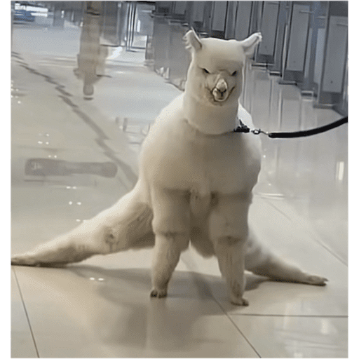 สติกเกอร์
