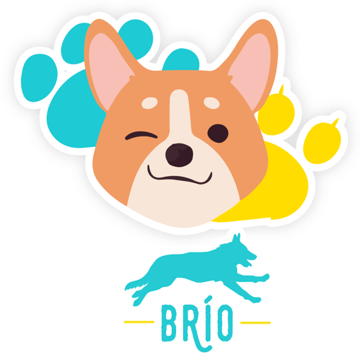 Brio Emojies 
