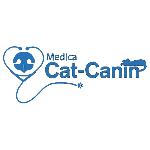 Cat Canin Frases