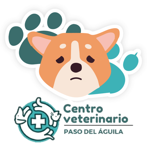 Paso del Águila  29