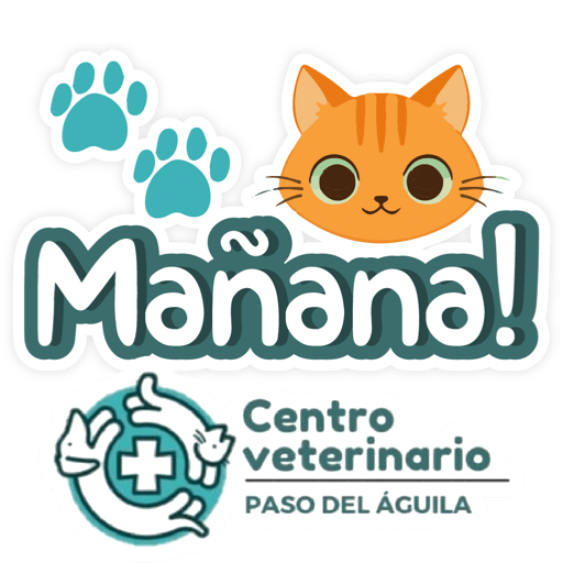 Paso del Águila  13