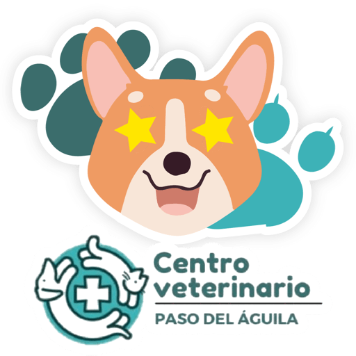 Paso del Águila  30