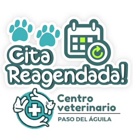 Paso del Águila  23