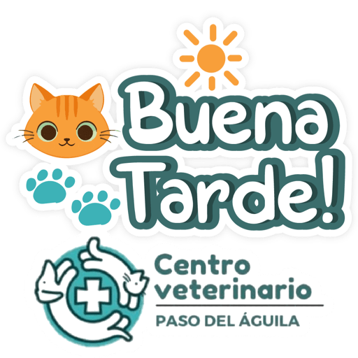 Paso del Águila  4