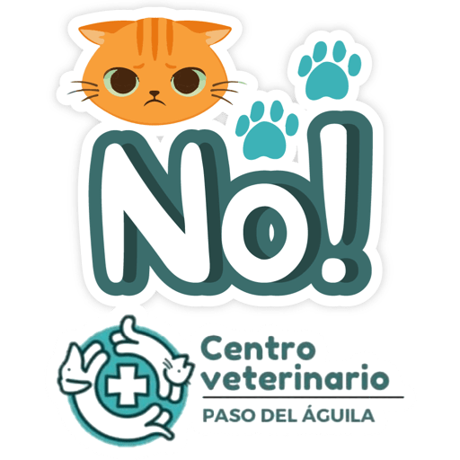 Paso del Águila  15
