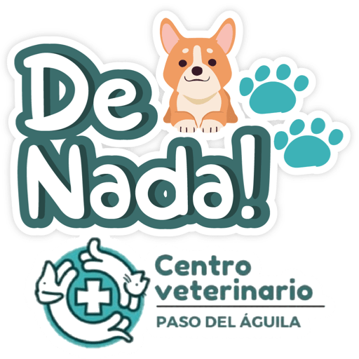 Paso del Águila  18