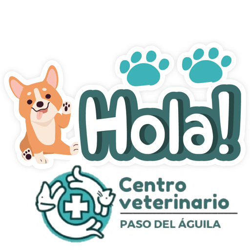 Paso del Águila  2