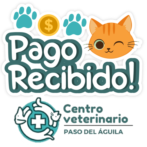 Paso del Águila  20