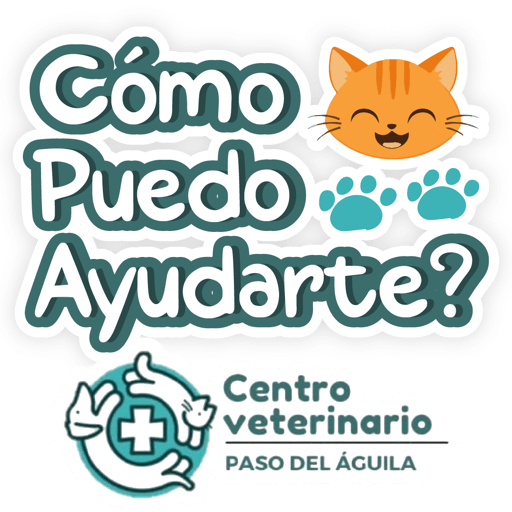Paso del Águila  25
