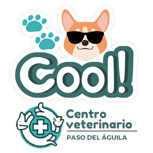 Paso del Águila  8