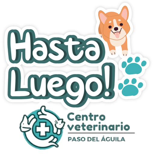 Paso del Águila  12