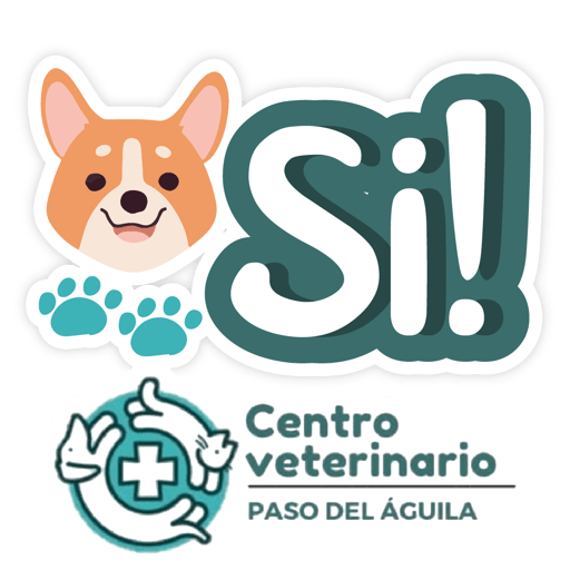 Paso del Águila  14