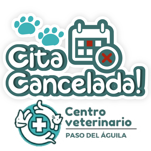 Paso del Águila  22