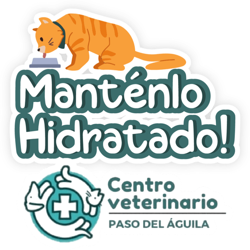 Paso del Águila  27
