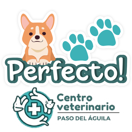 Paso del Águila  7