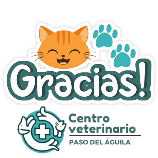 Paso del Águila  6