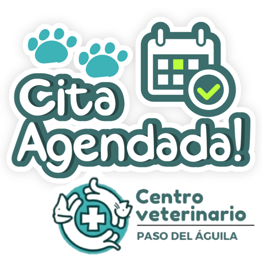Paso del Águila  21