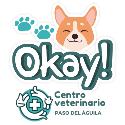 Paso del Águila  10