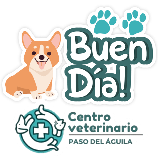 Paso del Águila  3