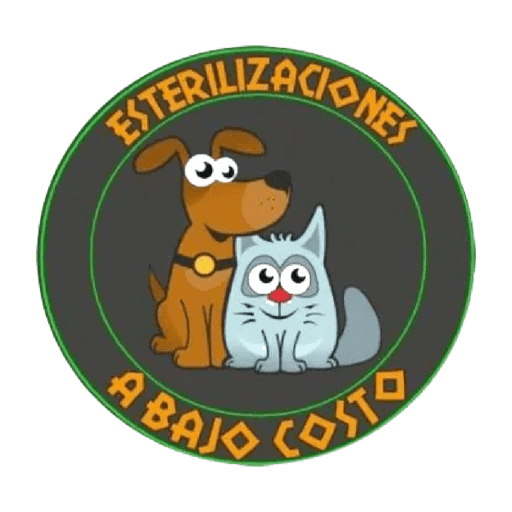 Esterilizaciones Frases