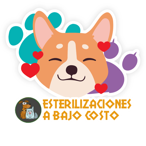 Esterilizacion Emojis  6